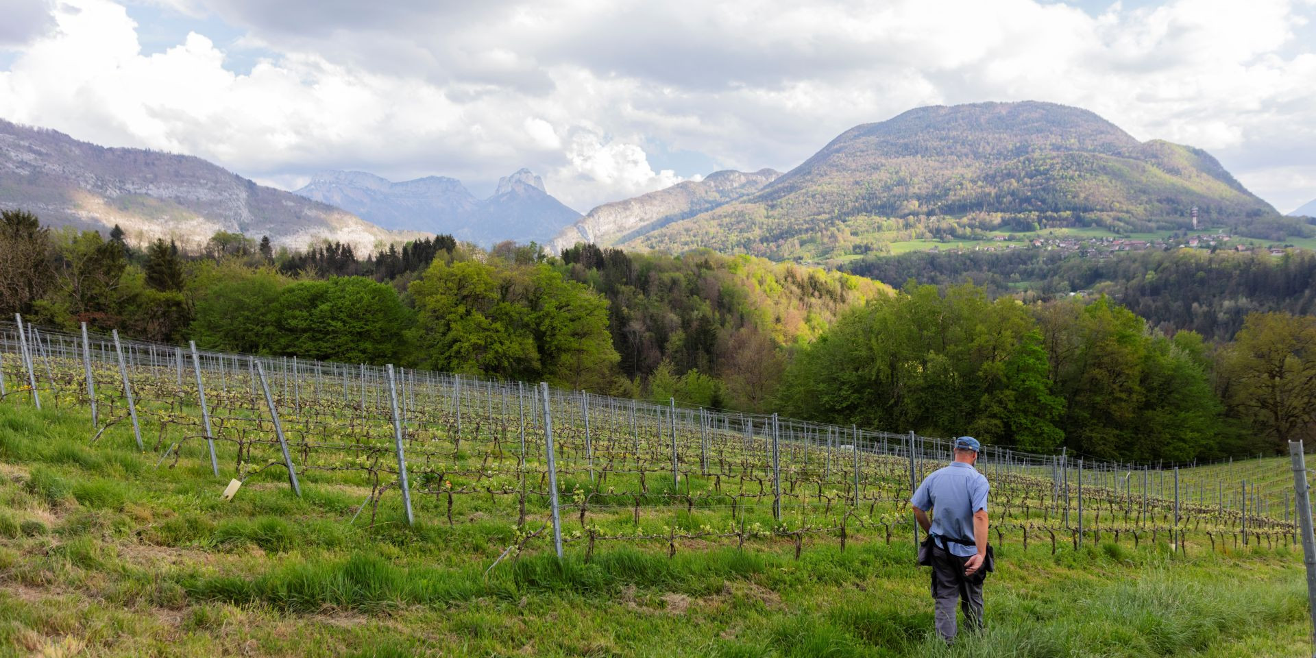 Les Coteaux des Girondales, l'histoires des vignes de Villaz