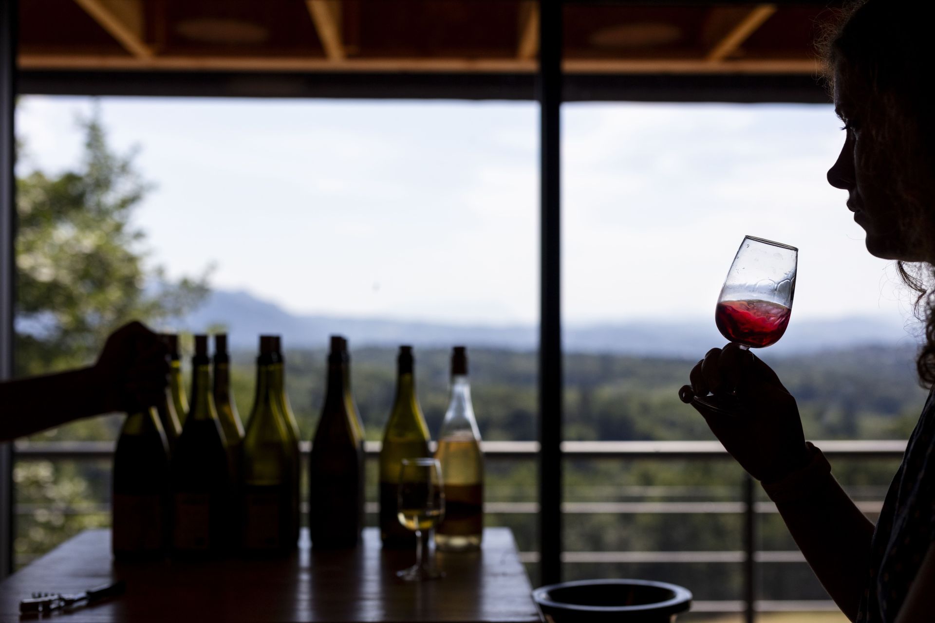 vente-degutation-vins-coteaux-des-girondales
